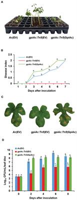 A putative glucose 6-phosphate isomerase has pleiotropic functions on virulence and other mechanisms in Acidovorax citrulli